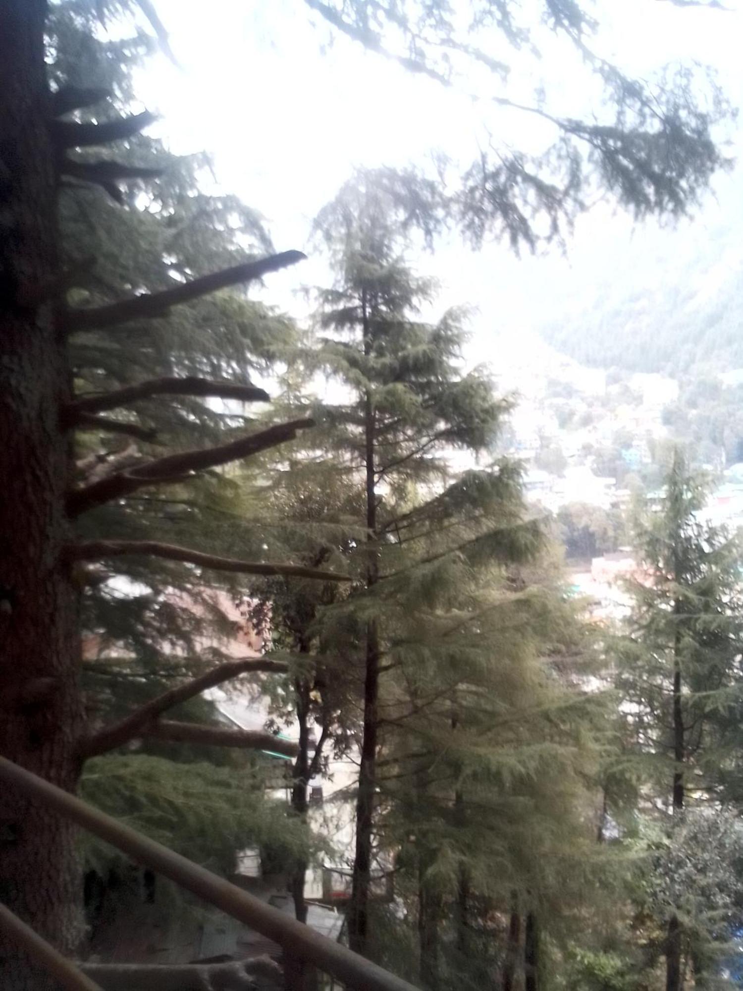 Himalayan Triund Trekking And Mountain View Hostel Dharamshala Exterior photo